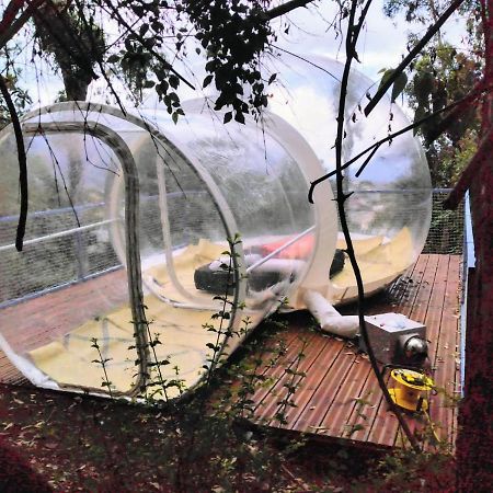 Dans Ma Bulle By C Cibeaulaos Ξενοδοχείο Cilaos Εξωτερικό φωτογραφία