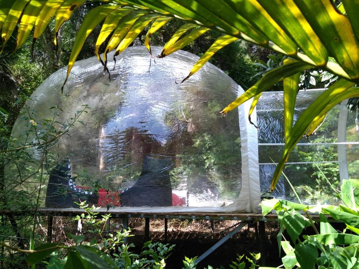 Dans Ma Bulle By C Cibeaulaos Ξενοδοχείο Cilaos Εξωτερικό φωτογραφία